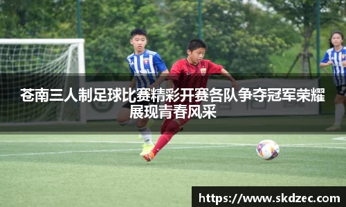yy易游