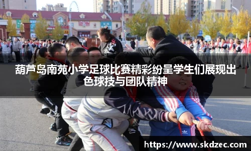 易游体育