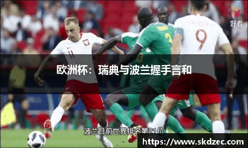 欧洲杯：瑞典与波兰握手言和