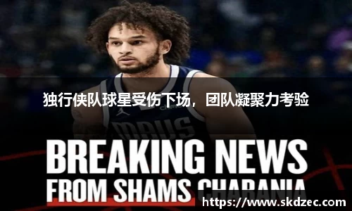 yy易游体育