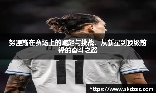 yy易游
