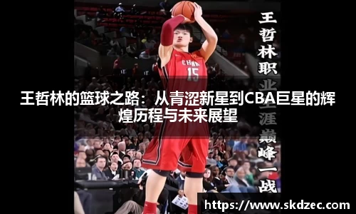 yy体育