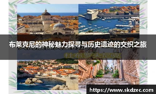 yy体育