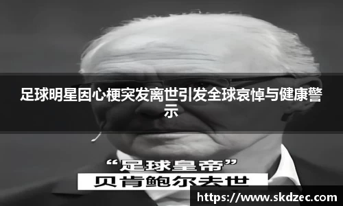 yy体育