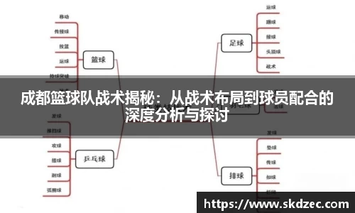 yy体育