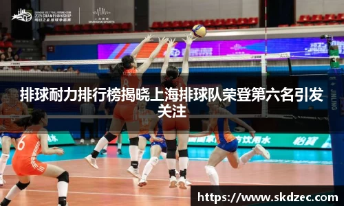 yy体育