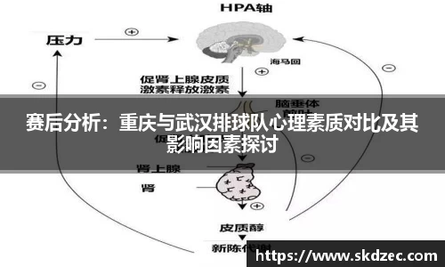 yy易游体育